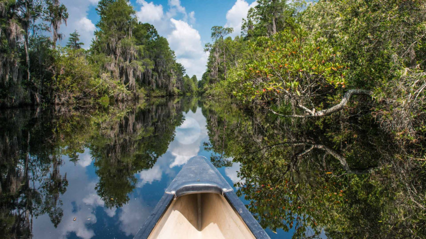 AmericanWetlands