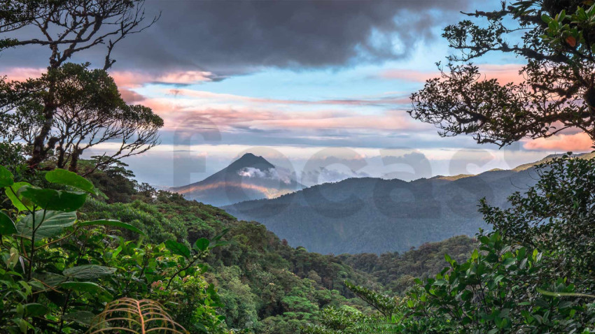 BiodiverseCostaRica