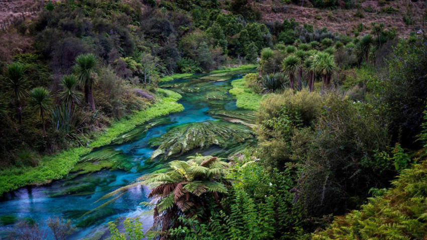 WaikatoWater